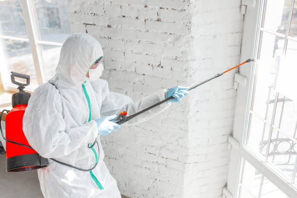 Best Emergency Mold Remediation  in Terrell, TX