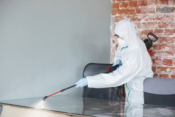 Forensic Mold Investigation in Terrell, TX